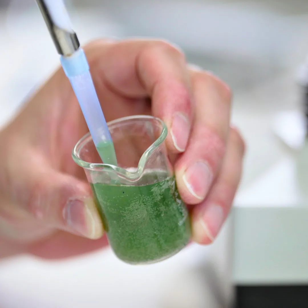 Qualitätskontrolle im Labor